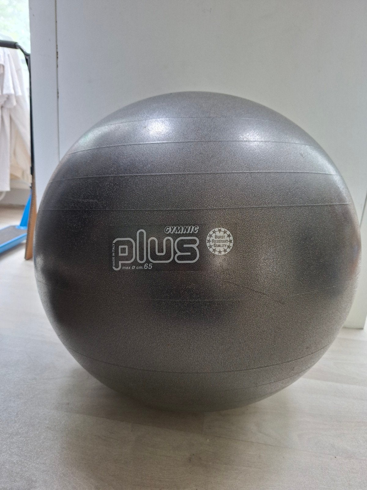 Gymnic Burst Zitbal 65 cm - Fitnessbal, Sport en Fitness, Fitnessmaterialen, Gebruikt, Fitnessbal, Buik, Rug, Ophalen