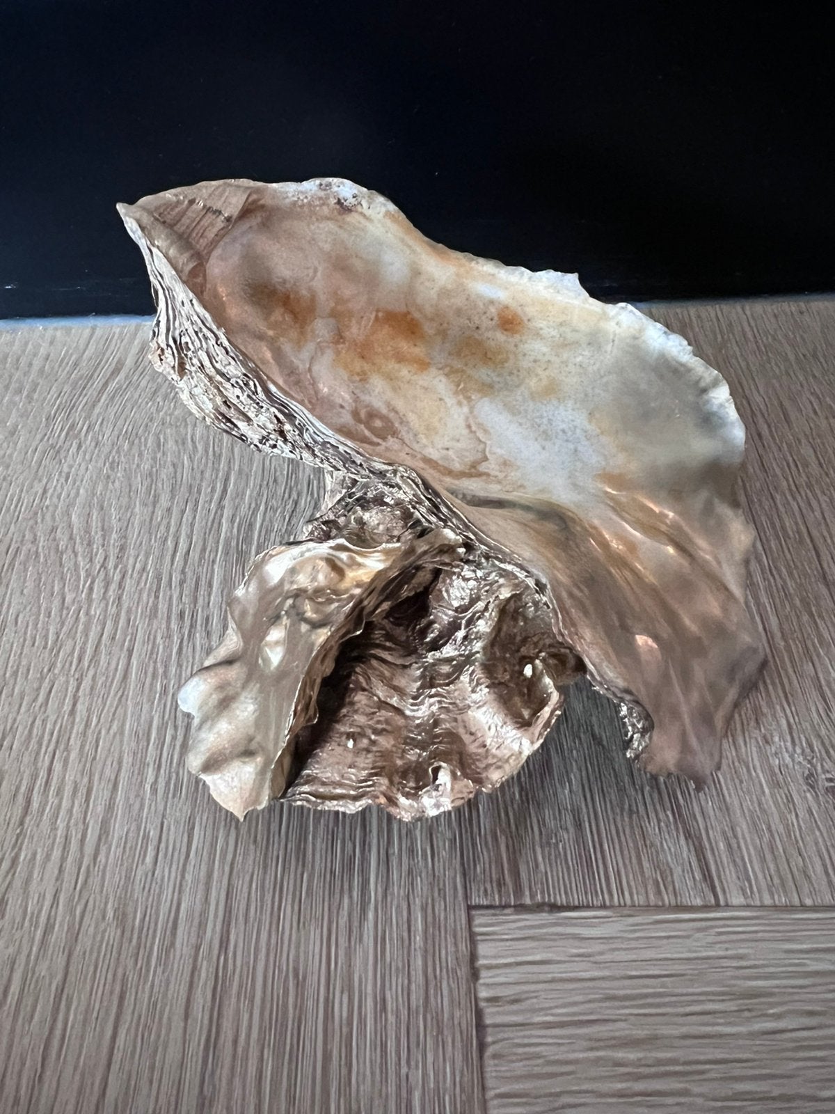 Oesterschelp decoratie, Ophalen of Verzenden, Schelp(en)