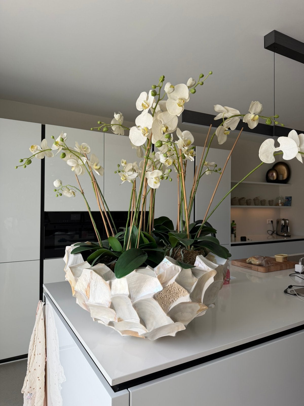 Luxe Eric Kuster stijl orchideeën in exclusieve schelpenpot, Ophalen, Zo goed als nieuw, Binnen