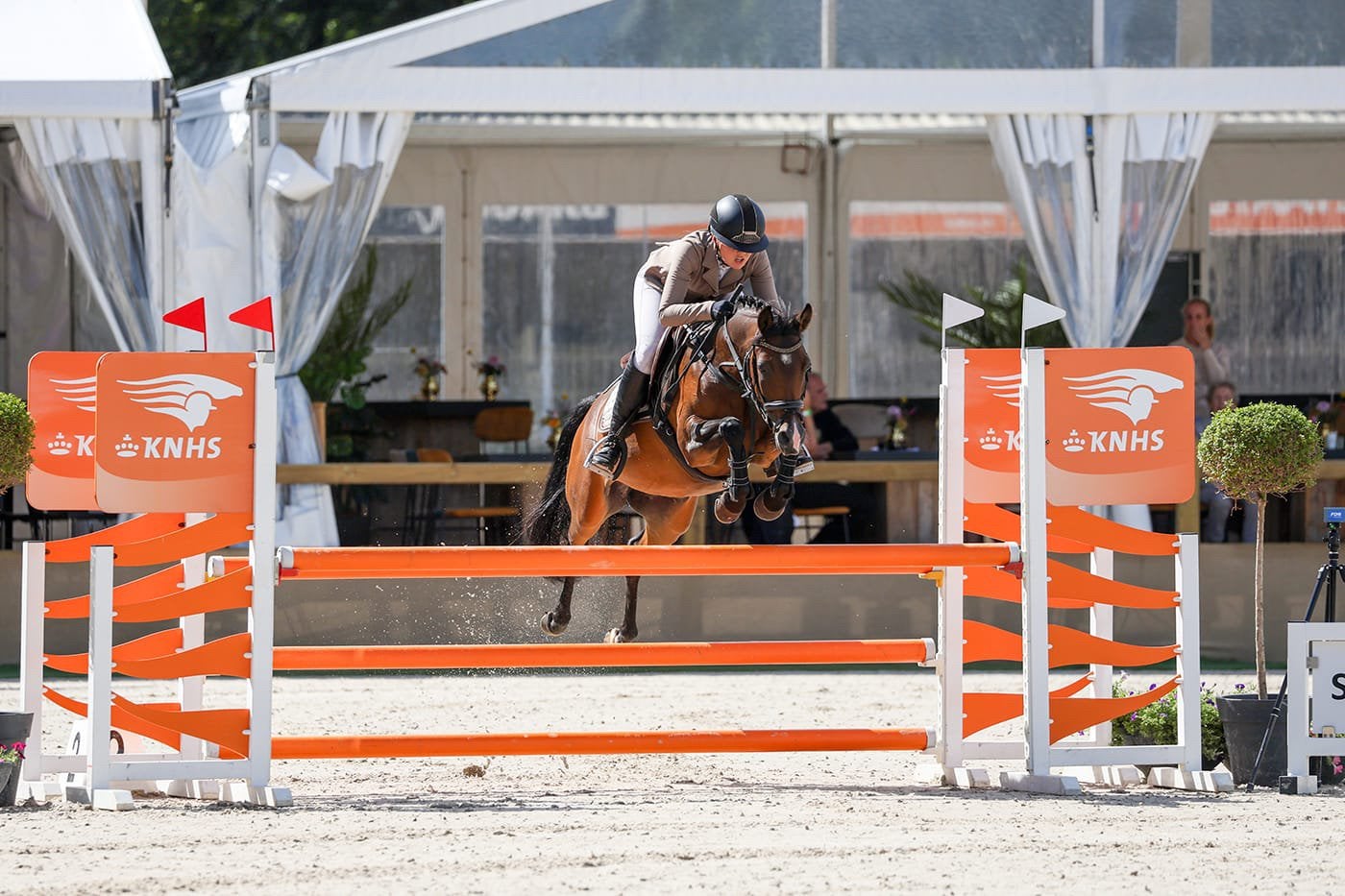 Talentvolle Sportpony, Dieren en Toebehoren, Merrie, Z, Springpony, C pony (1.27m tot 1.37m)