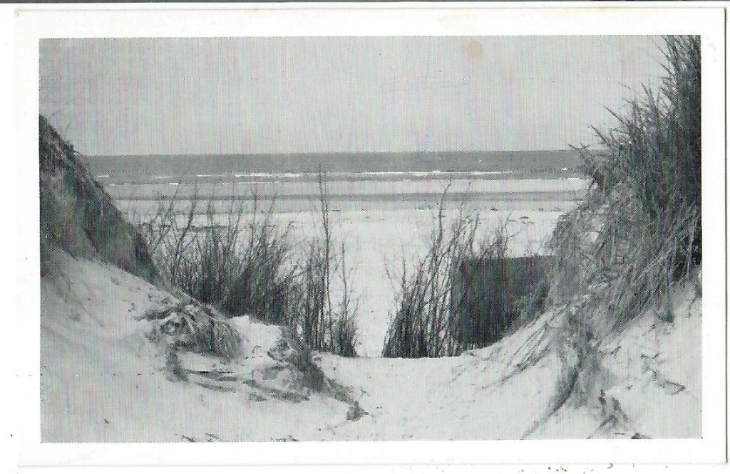 Ameland - Duindoorkijkje, Verzenden, 1940 tot 1960, Ongelopen, Waddeneilanden