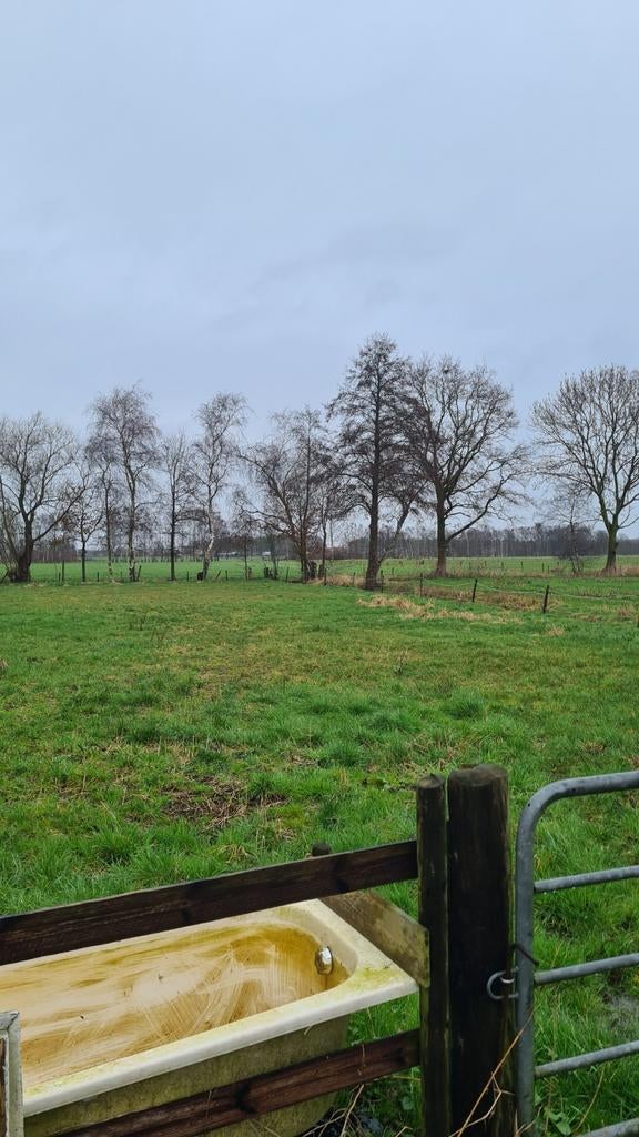 Te huur weiland rand varsseveld., Dieren en Toebehoren, Stalling en Weidegang