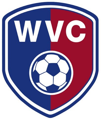 mooie clubspeld van wvc roelofarendsveen, Verzenden, Nieuw, Sport, Speldje of Pin