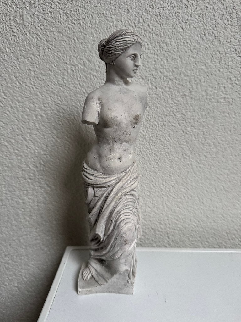 Beeld vrouw - Venus - grijs - 27 cm, Ophalen of Verzenden, Nieuw, Mens