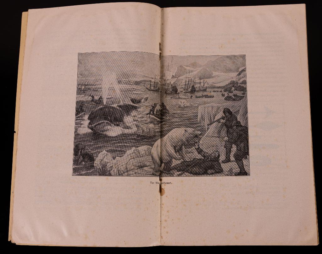 Schoolplaat boekje  Ter Walvischvaart.   , Antiek en Kunst, Antiek | Schoolplaten, Ophalen of Verzenden, Geschiedenis