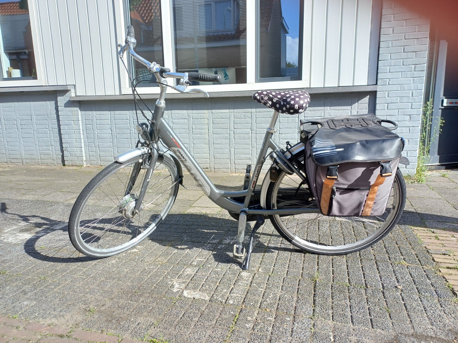Giant E-bike met Goed werkende remmen en schakeli, Ophalen, Gebruikt, Giant, 51 tot 55 cm