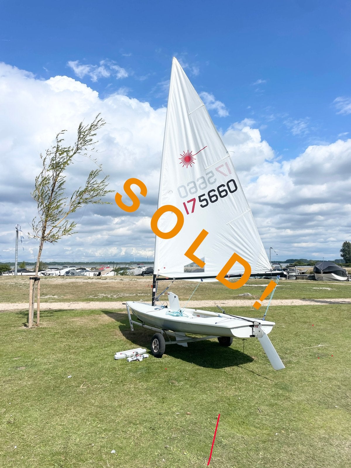 ILCA 7 LASER Vela Grey XD met Kalf strandtrailer en dekzeil, Ophalen, Laser, Gebruikt, Laser