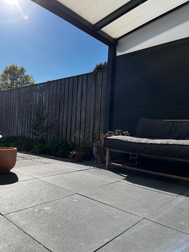 Betontegel 60x60x4, Ophalen, Gebruikt, 10 m² of meer, Beton