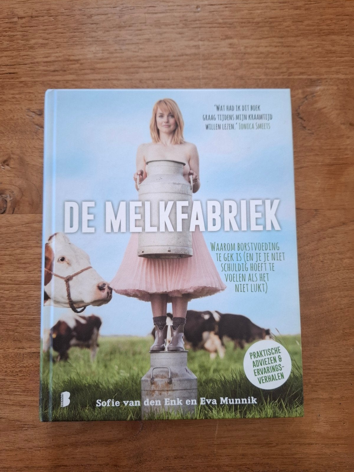 De Melkfabriek: Borstvoeding door Sofie van den Enk, Boeken, Ophalen of Verzenden, Zo goed als nieuw, Zwangerschap en Bevalling