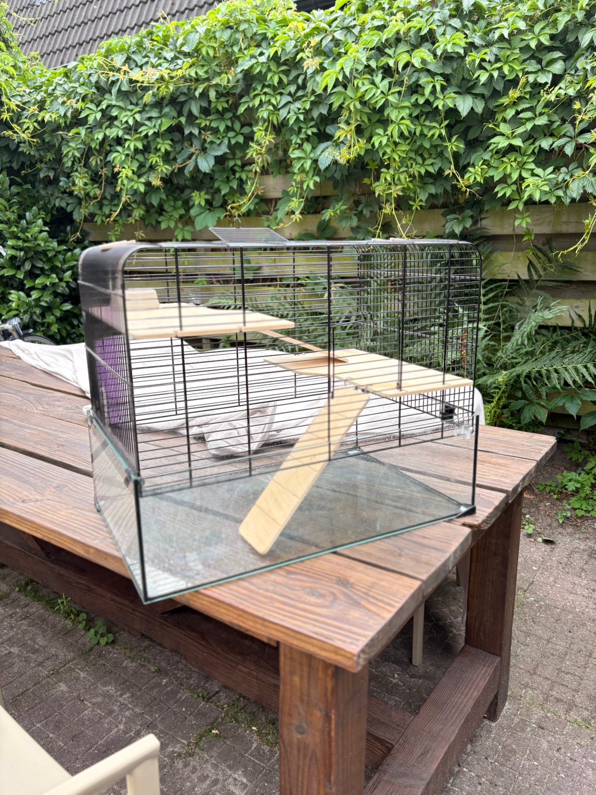 Hamsterkooi / hamsterhok glazen bak, Kooi, Gebruikt, Minder dan 75 cm, Hamster