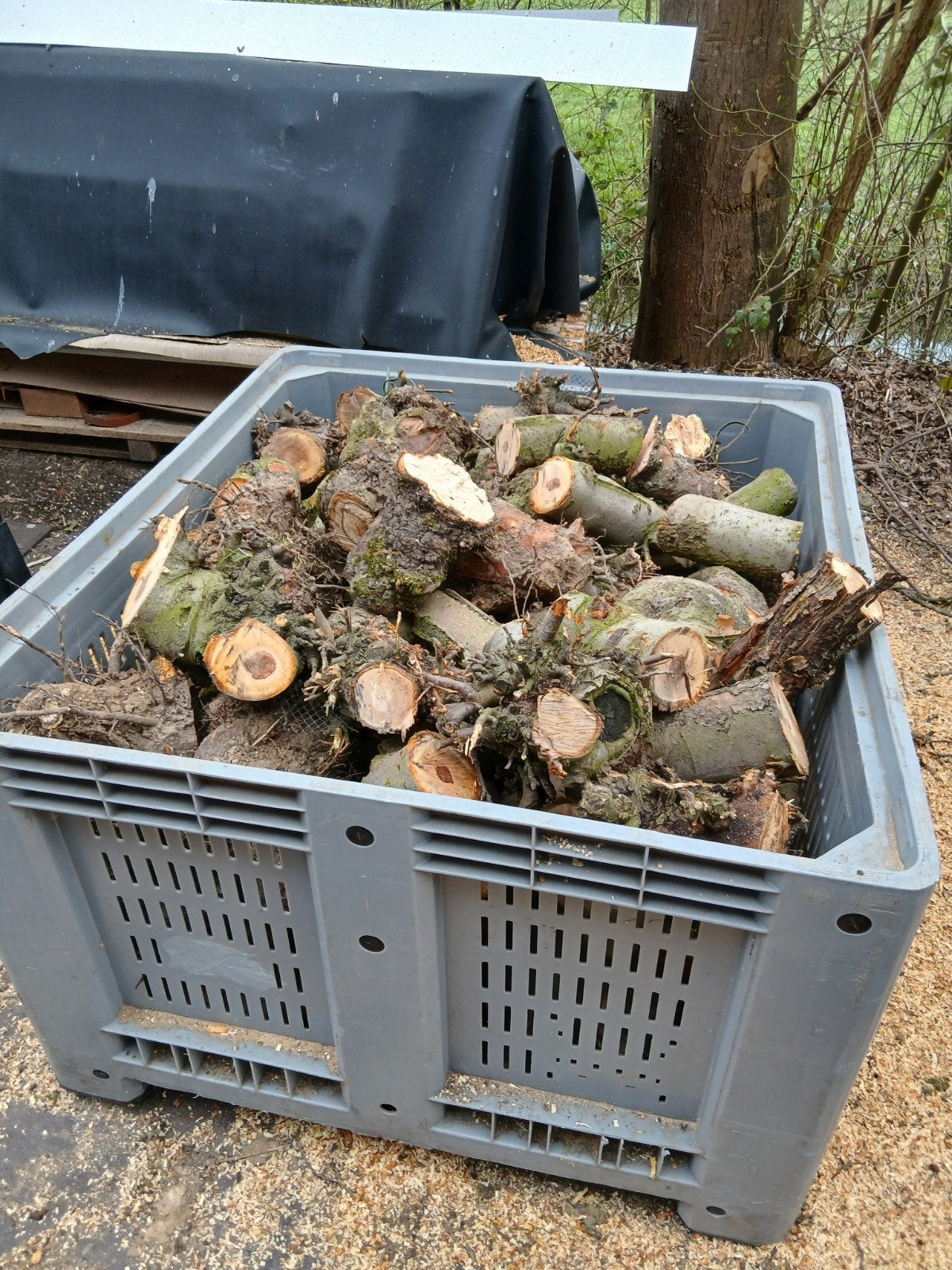 Appelhout op maat gezaagd, Tuin en Terras, Minder dan 3 m³, Ophalen of Verzenden, Overige houtsoorten, Blokken