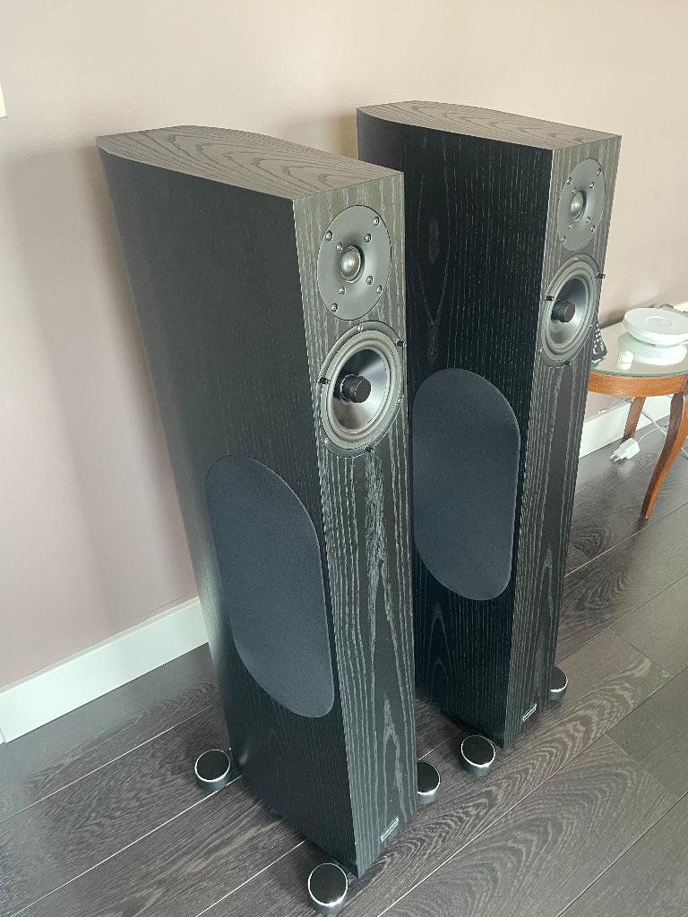 Audio Physic Tempo luidsprekers, Zo goed als nieuw, 120 watt of meer, Front, Rear of Stereo speakers, Ophalen