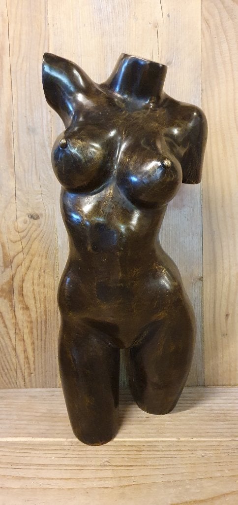 TORSO / MAN/ VROUW / Bronzen beeld, Ophalen of Verzenden, Brons, Beeld