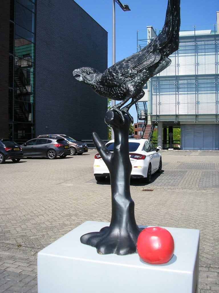PAPEGAAI, Dieren en Toebehoren, Vogels | Parkieten en Papegaaien, Meerdere dieren, Papegaai