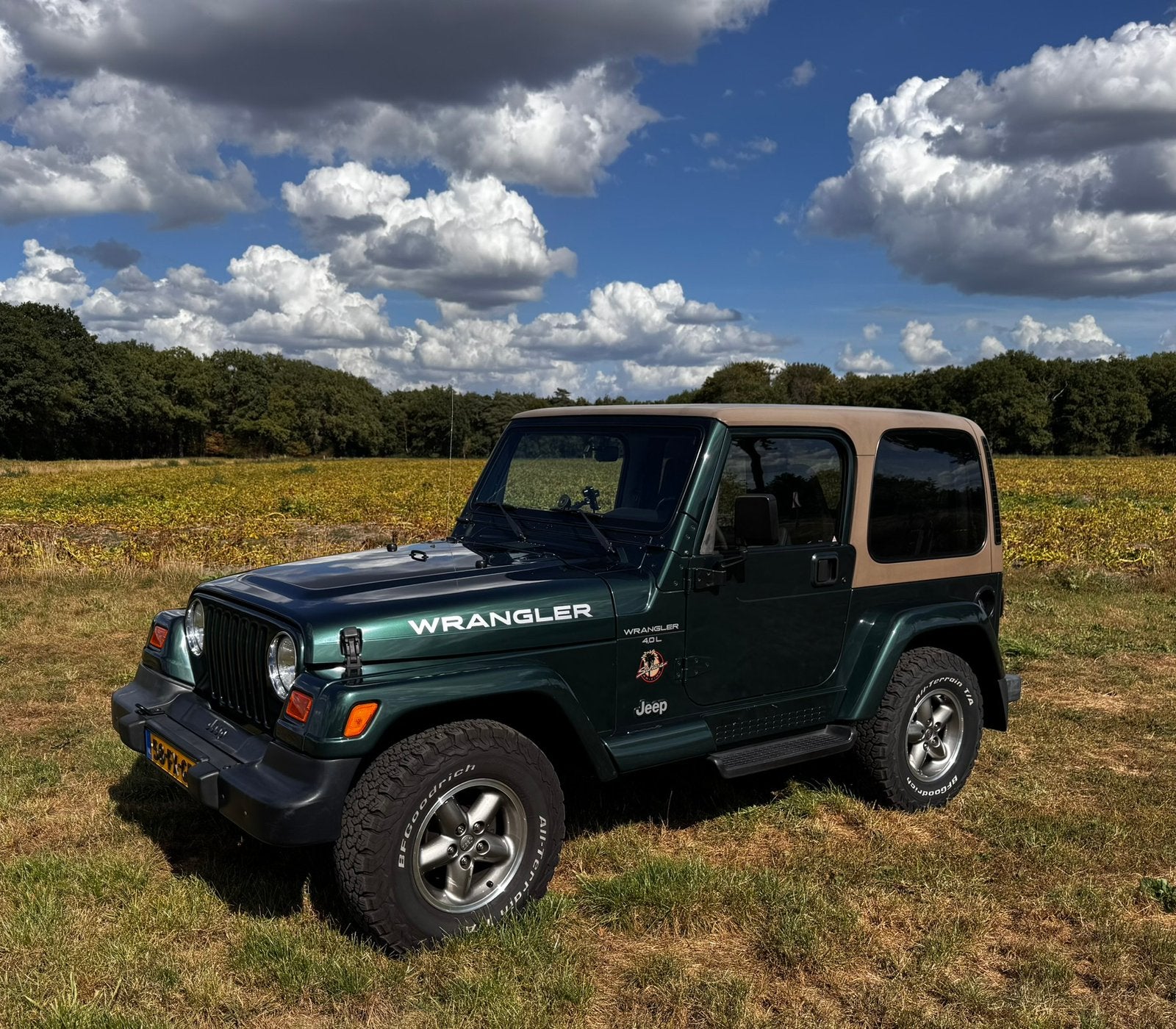 Jeep Wrangler Sahara TJ 4.0 ltr Automaat  Juli 2000, Auto's, Automaat, Beige, 2000 kg, 4 stoelen