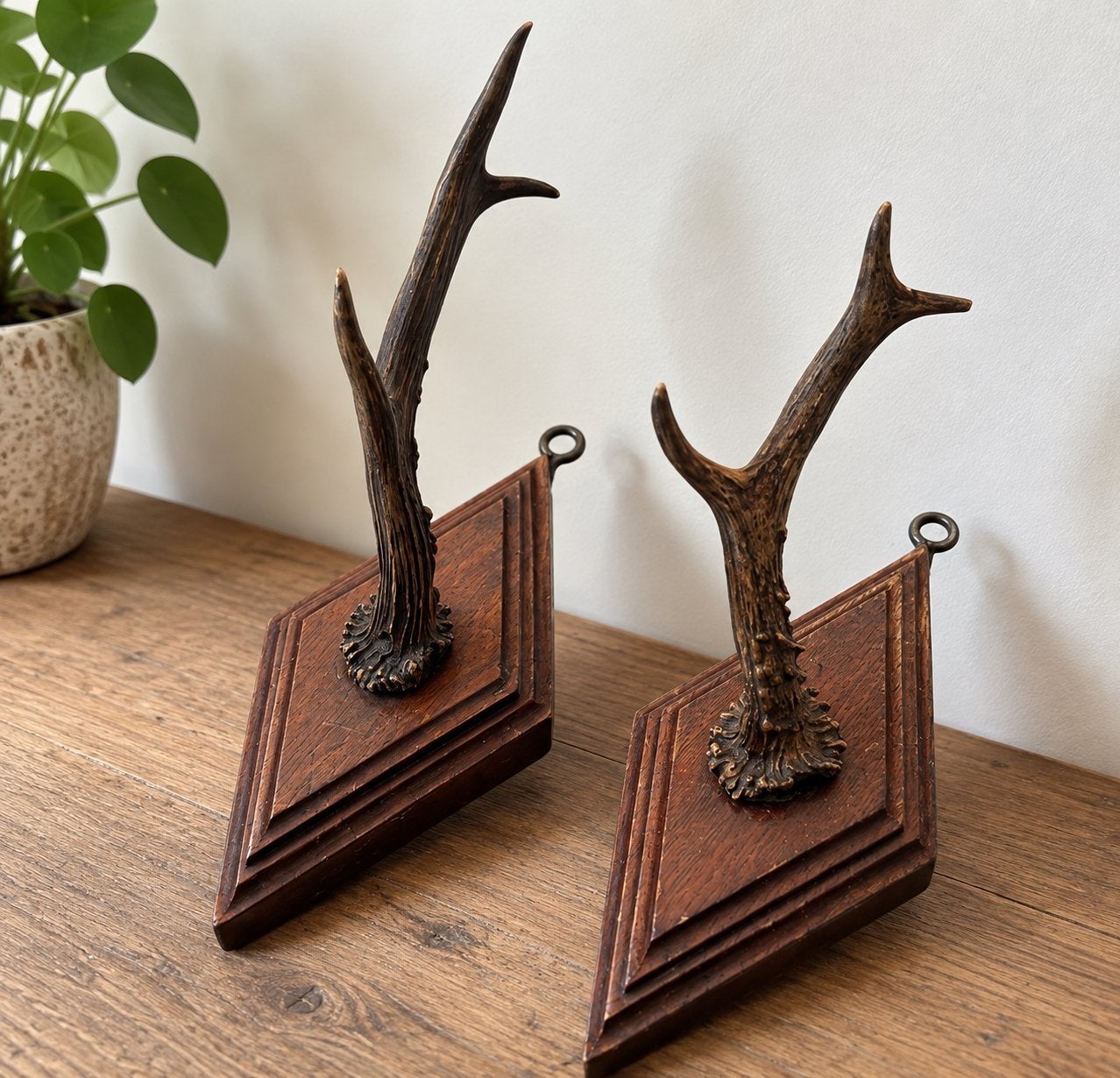 Set van 2 vintage wandhaken met gewei op houten schild, Ophalen of Verzenden, Gebruikt, Gewei of Kop