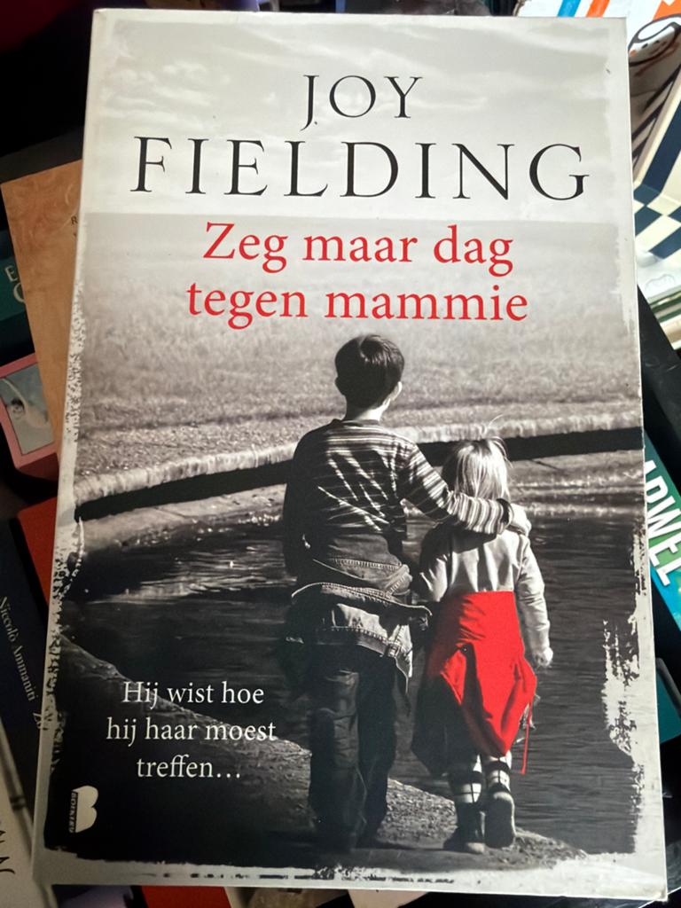 Z4.  Joy Fielding - Zeg maar dag tegen mammie, Ophalen of Verzenden, Zo goed als nieuw, Joy Fielding, Nederland