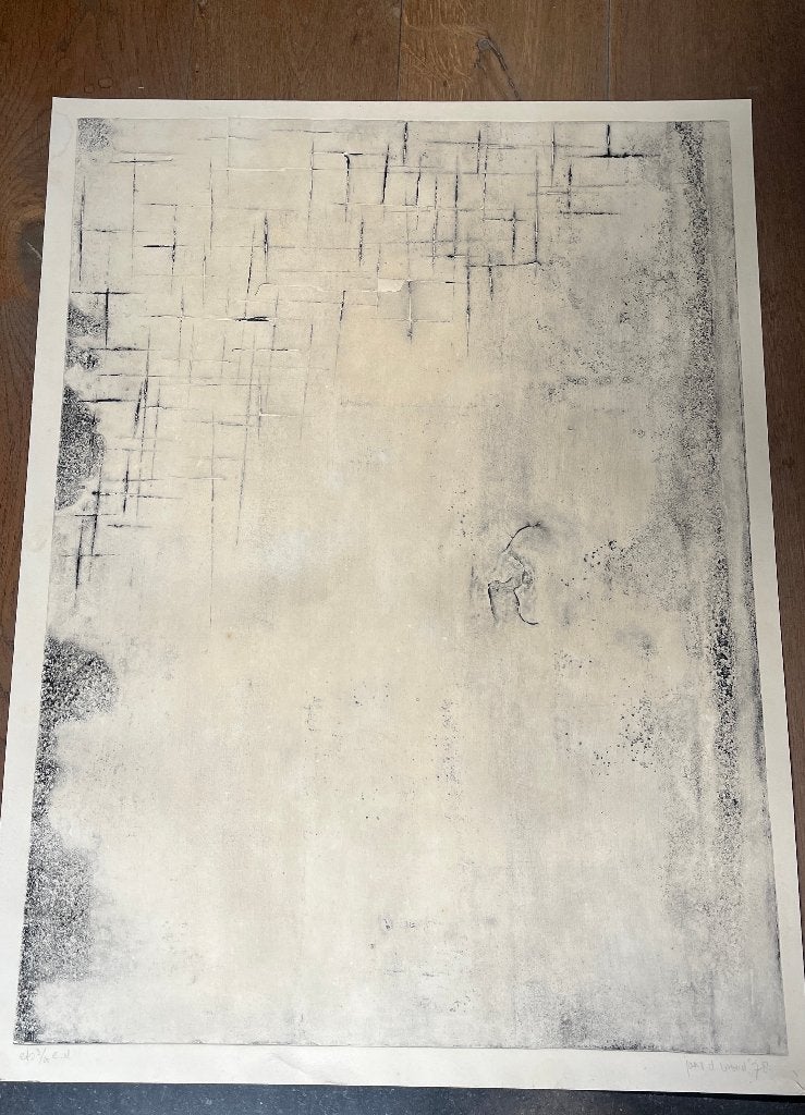Ets  - Jan van der Woud, Antiek en Kunst, Kunst | Etsen en Gravures, Ophalen, 80 cm, Gesigneerd, 60 cm