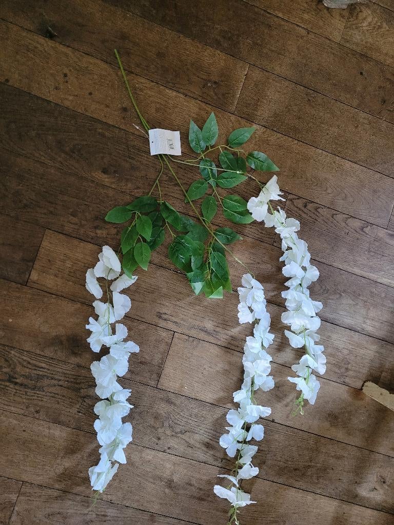Wisteria takken wit per tak 3 bloemen prijs 3.50 p/tak, Belle Vieille Brocante, Nieuw, Ophalen of Verzenden, Jolandamonsieurs@gmail.com