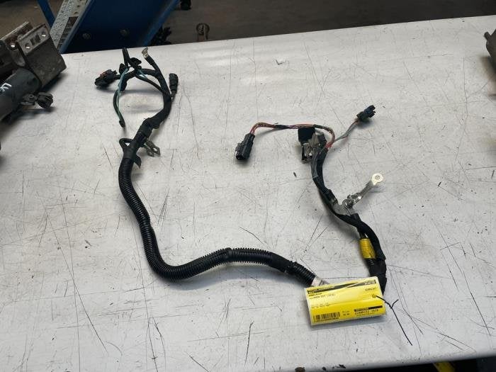 Kabelboom van een Citroen DS5, Gebruikt, -, Ophalen of Verzenden, -