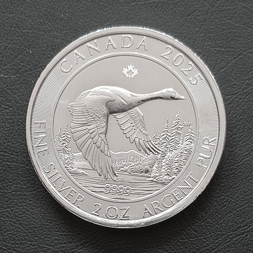 Canada Flying goose 2 oz zilver (2025), Verzenden, Zilver