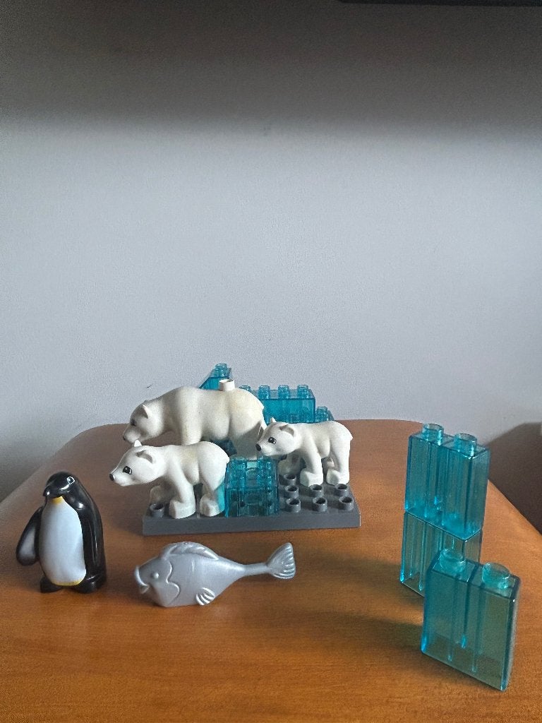 Duplo Noordpool, Ophalen of Verzenden, Zo goed als nieuw, Duplo