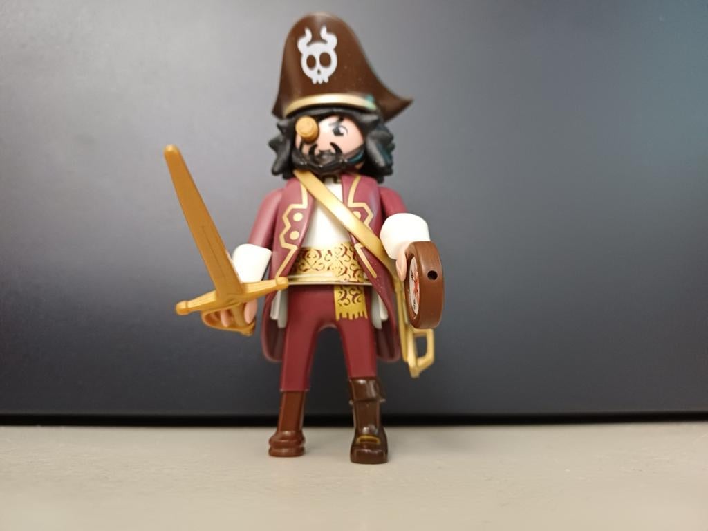 Playmobil piraat 4798, Eén persoon, Overige typen