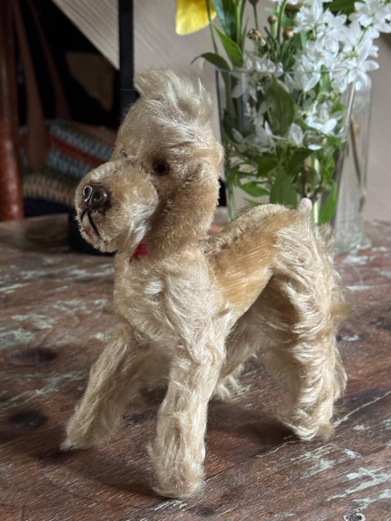 Antieke STEIFF SNOBBY hond - Wit-Mohair - Jaren '50 - 25cm, Verzenden
