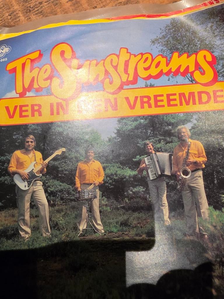 The Sunstreams - Ver In Een Vreemde Land (Vinyl Single), Cd's en Dvd's, Ophalen of Verzenden, Gebruikt
