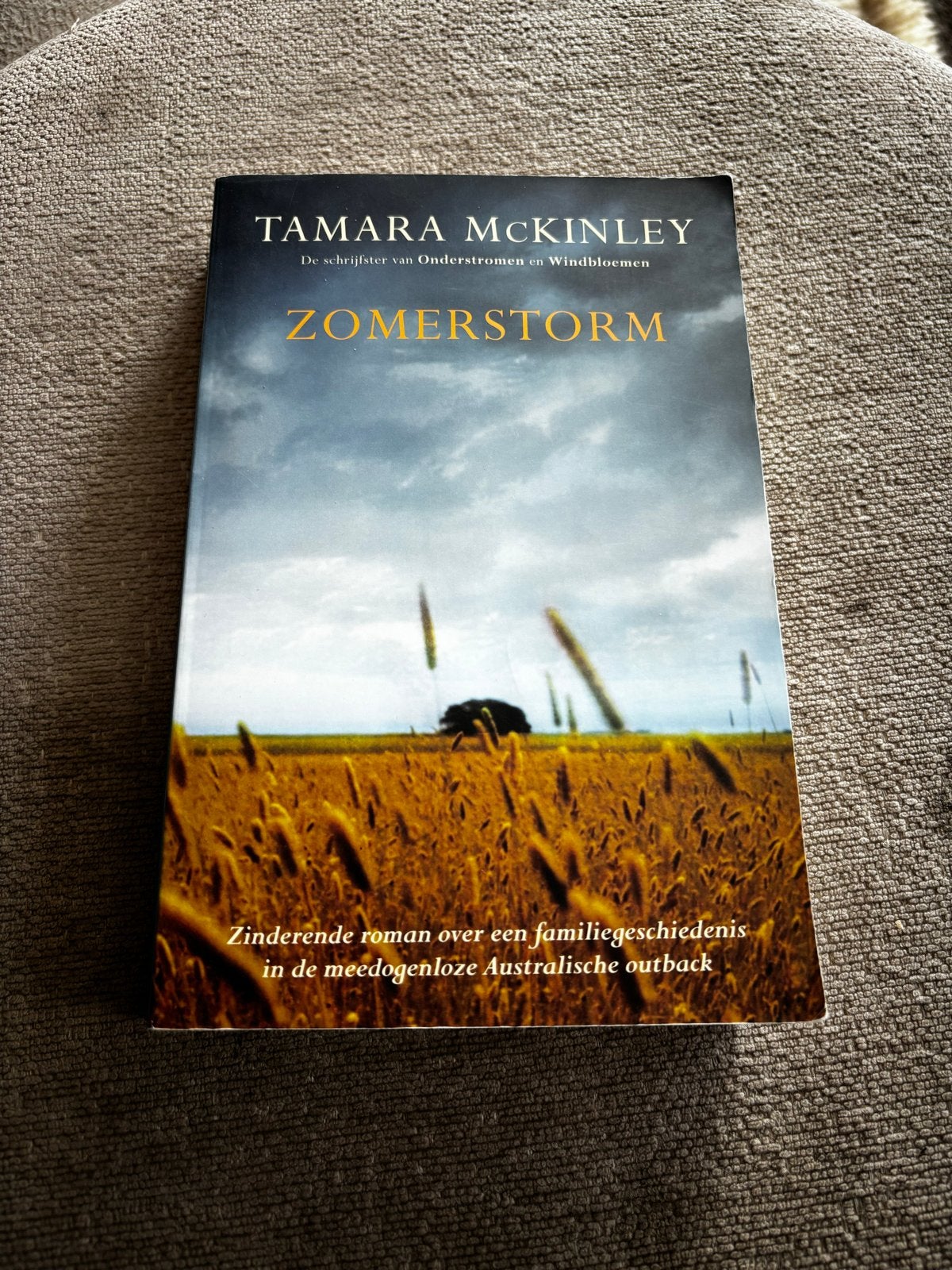 Zomerstorm - Tamara McKinley (roman), Ophalen of Verzenden, Gelezen, Wereld overig