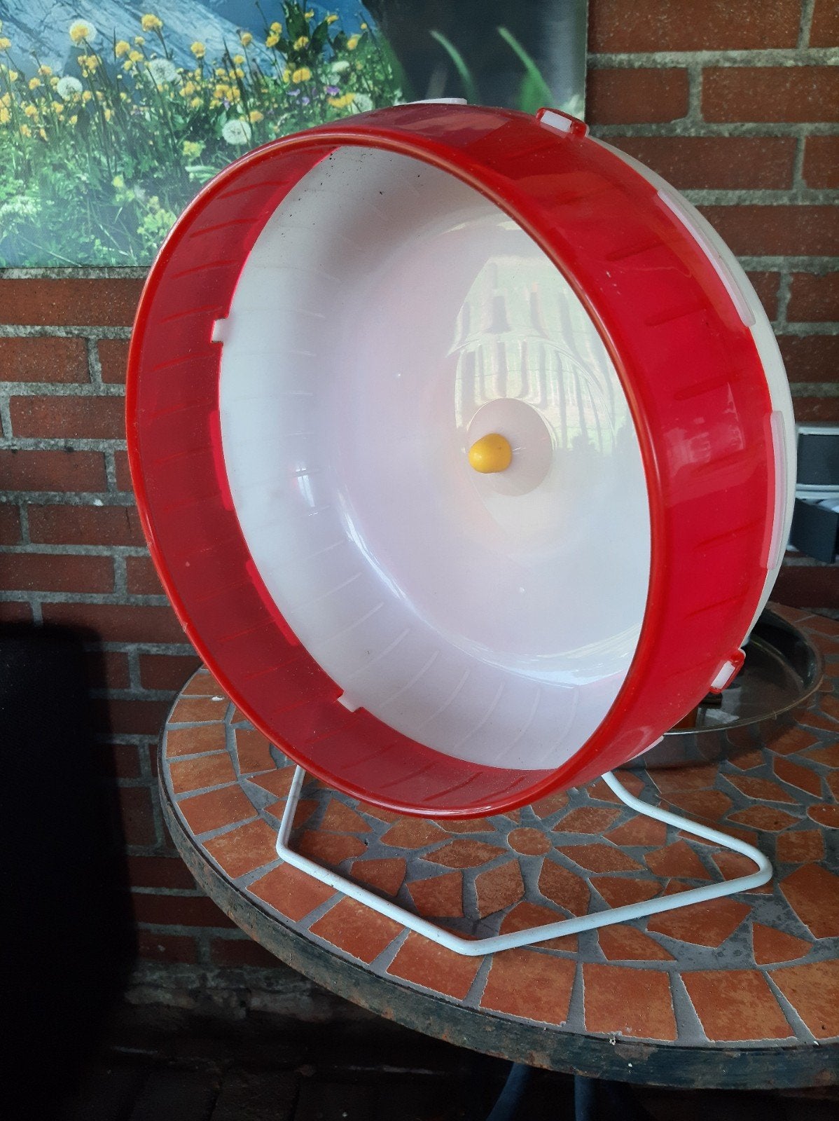 loopmolen/Looprad voor grotere knaagdieren, Ophalen, Zo goed als nieuw, Loopwiel of Rad
