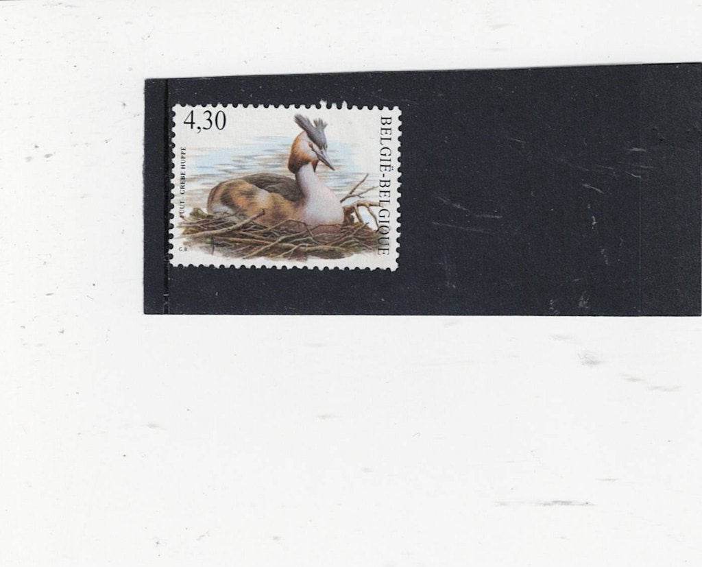 vogel Belgie, Ophalen of Verzenden, Gestempeld, Dier of Natuur