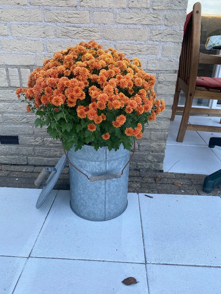 Gegalvaniseerde metalen emmer met deksel., Ophalen of Verzenden, Zo goed als nieuw, Metaal