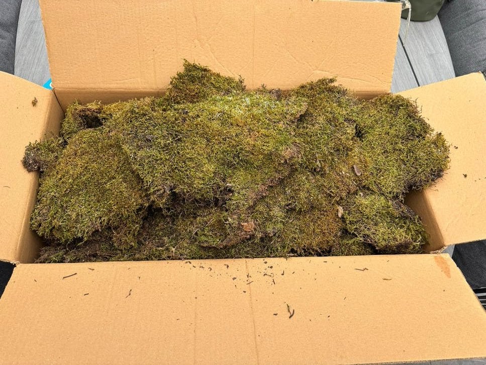 2 kg gedroogd mos voor decoratie of tuin, Bodembedekkers, Vaste plant, Ophalen of Verzenden, Bloeit niet