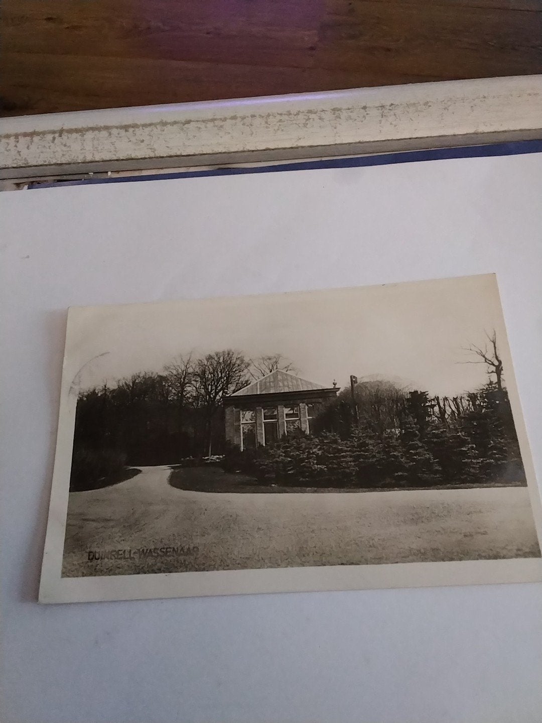 DUINRELL. WASSENAAR, Ophalen of Verzenden, Voor 1920, Zuid-Holland