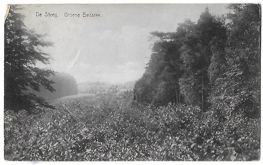 De Steeg Groene Bedstee Oude Gelopen Ansichtkaart (B617 ), Ophalen of Verzenden, 1920 tot 1940, Gelopen, Gelderland
