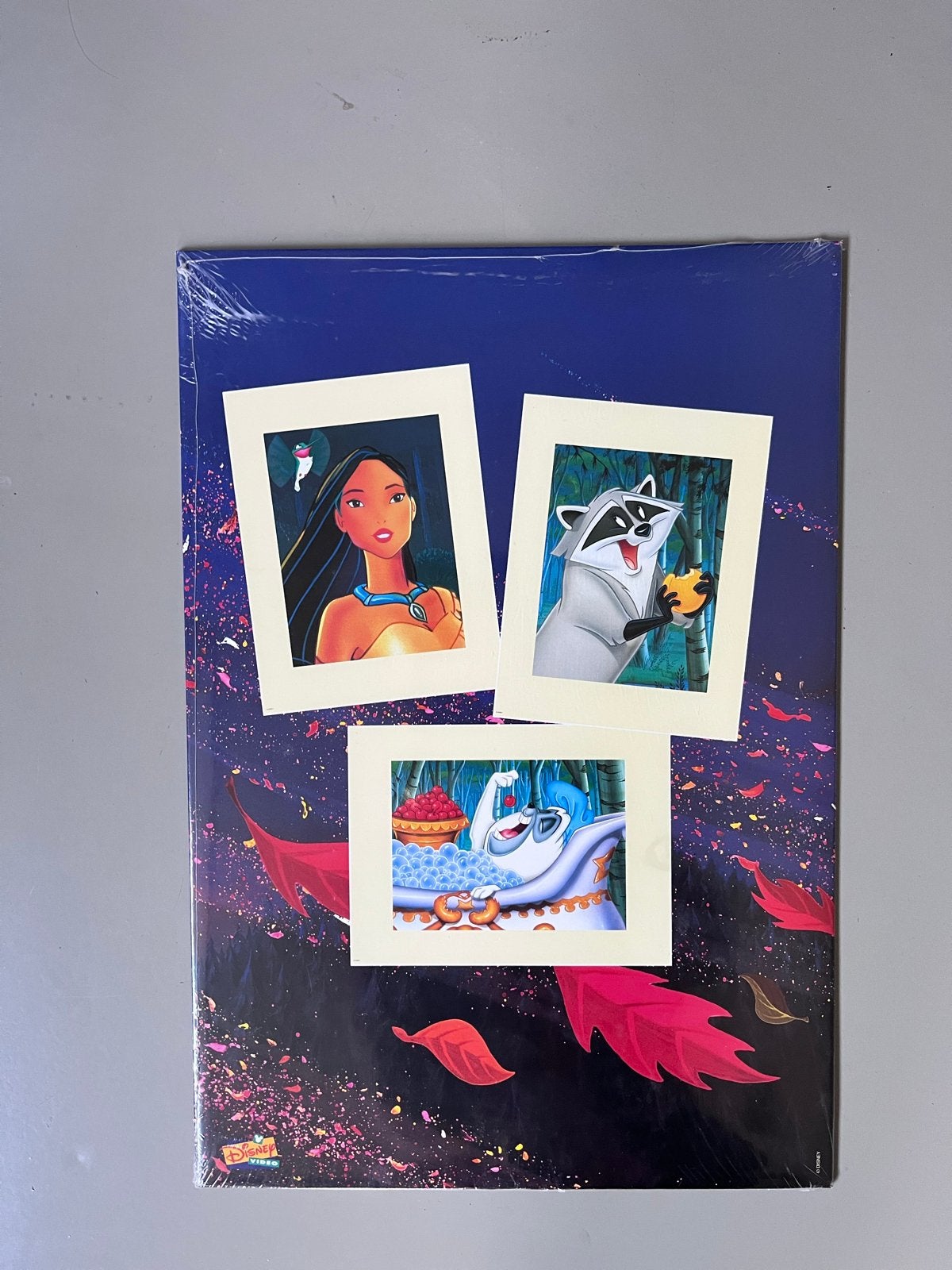 3 Disney Litho's - Pocahontas, Meeko & Flit (23x33 cm), Ophalen of Verzenden, Personages en Fantasiefiguren, Lithografie