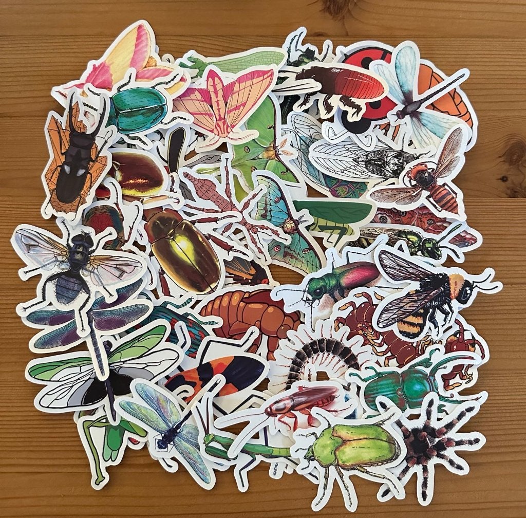 Vlinders, libellen, bijen, insecten stickers, Verzenden, Nieuw, Meerdere stickers