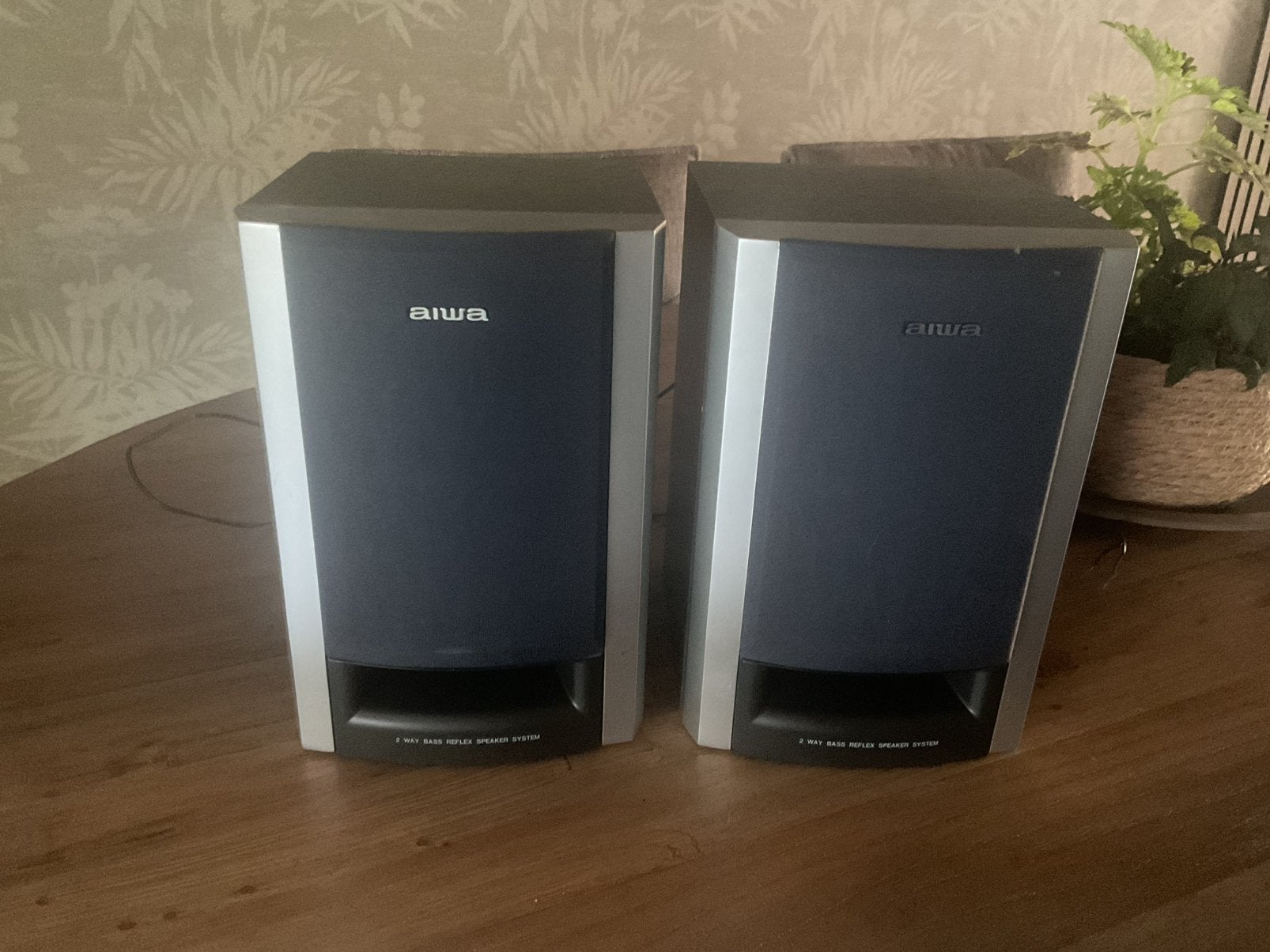 Set AIWA speaker system ( Model SX-M33) werkend