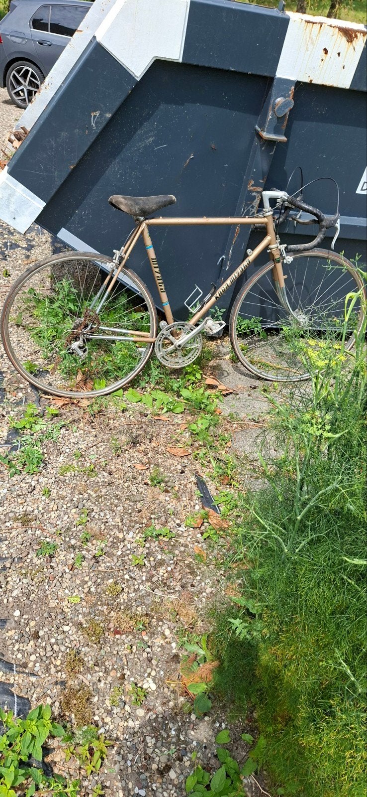 Vintage Koga Miyata racefiets - Opknapper, Ophalen, Gebruikt, Koga Miyata, 10 tot 15 versnellingen