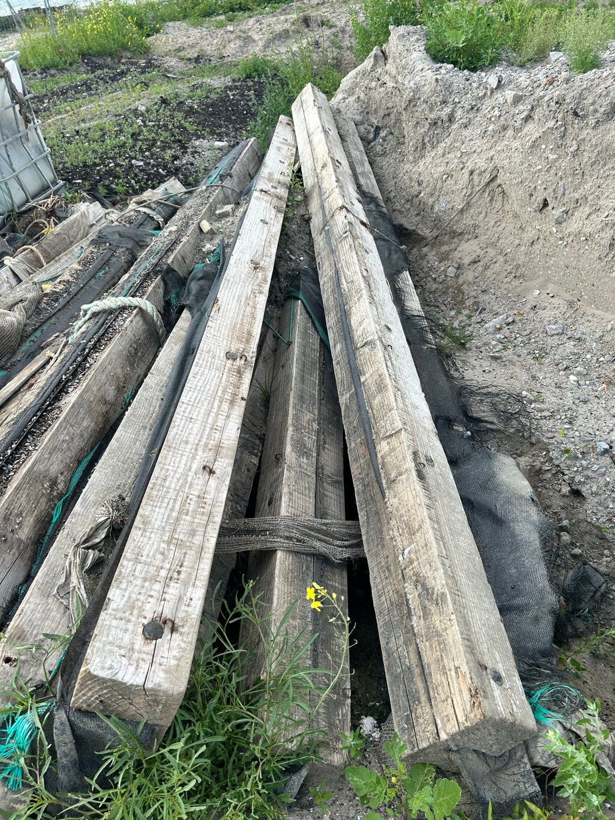 Gebruikte dubbele houten balken met verzinkte slotbouten, Doe-het-zelf en Verbouw, Hout en Planken, Ophalen, Gebruikt, Balk, Overige houtsoorten