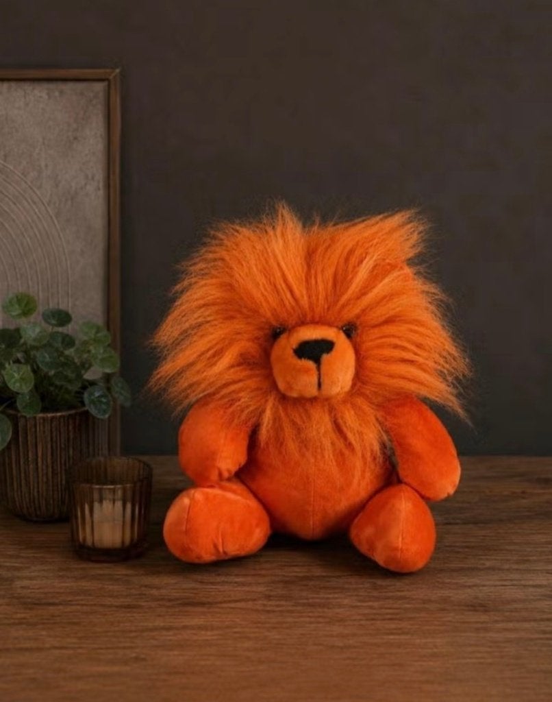WK Leeuwtje, Kinderen en Baby's, Oranje, Overige merken, Overige karakters, Ophalen of Verzenden