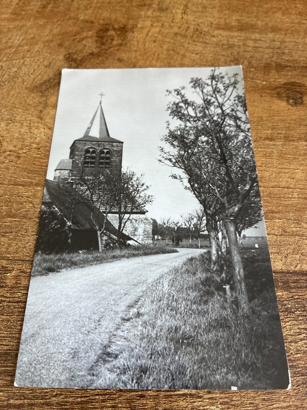 Oude Ansichtkaart: De Toren van Dieden (N4735), Verzamelen, Ansichtkaarten | Nederland, Ophalen of Verzenden, 1940 tot 1960, Ongelopen