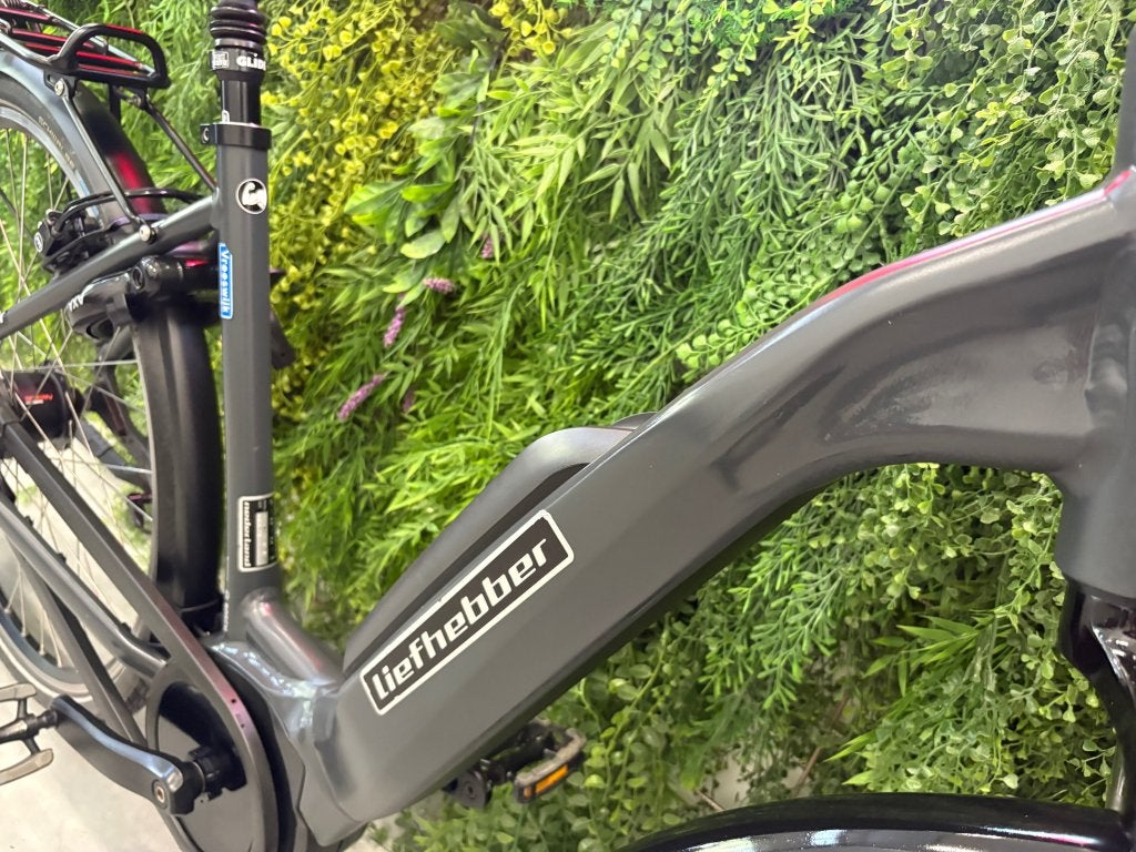 Liefhebber Vreeswijk | Bosch Active Plus | 500Wh, Niet ingevuld, Ophalen of Verzenden, Zo goed als nieuw, 47 tot 51 cm