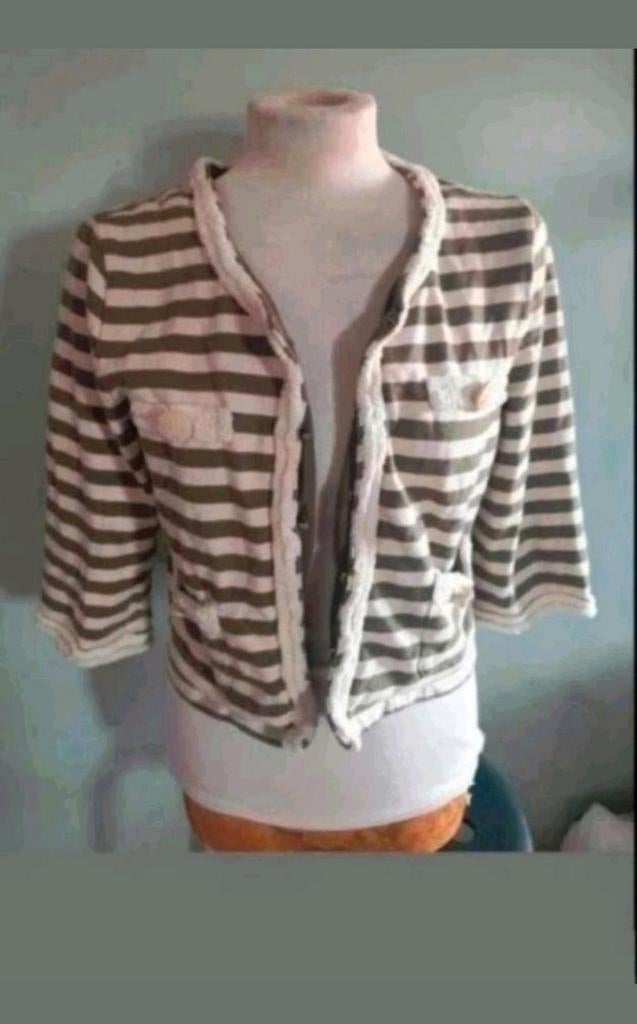 Didi vest, Kleding | Dames, Truien en Vesten, Didi, Ophalen of Verzenden, Zo goed als nieuw, Maat 38/40 (M)