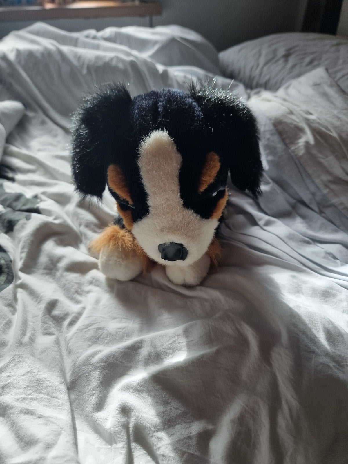 Leuke Berner Sennenhond knuffel -, Overige karakters, Zo goed als nieuw, Middelgroot (20 tot 80 cm), Meerkleurig
