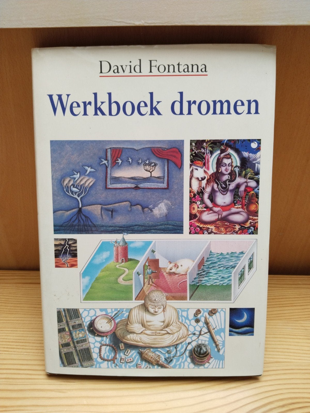 Werkboek dromen - David Fontana (Hardcover), Ophalen of Verzenden