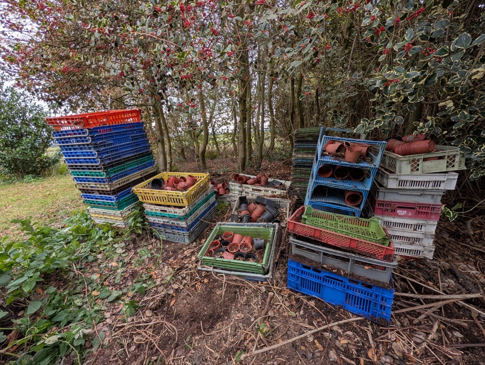 Gratis Kwekerij kratten, bakken en potten voor de moestuin, Tuin en Terras, Ophalen, Kunststof, Gebruikt, Minder dan 30 cm