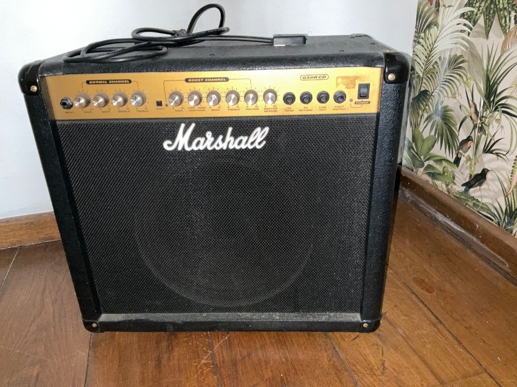 Gitaarversterker, Muziek en Instrumenten, Versterkers | Bas en Gitaar, Ophalen, Gebruikt, 50 tot 100 watt