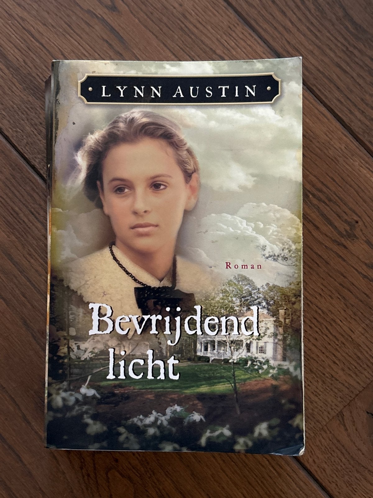 Bevrijdend Licht - Lynn Austin (Roman), Boeken, Ophalen of Verzenden, Zo goed als nieuw, Nederland